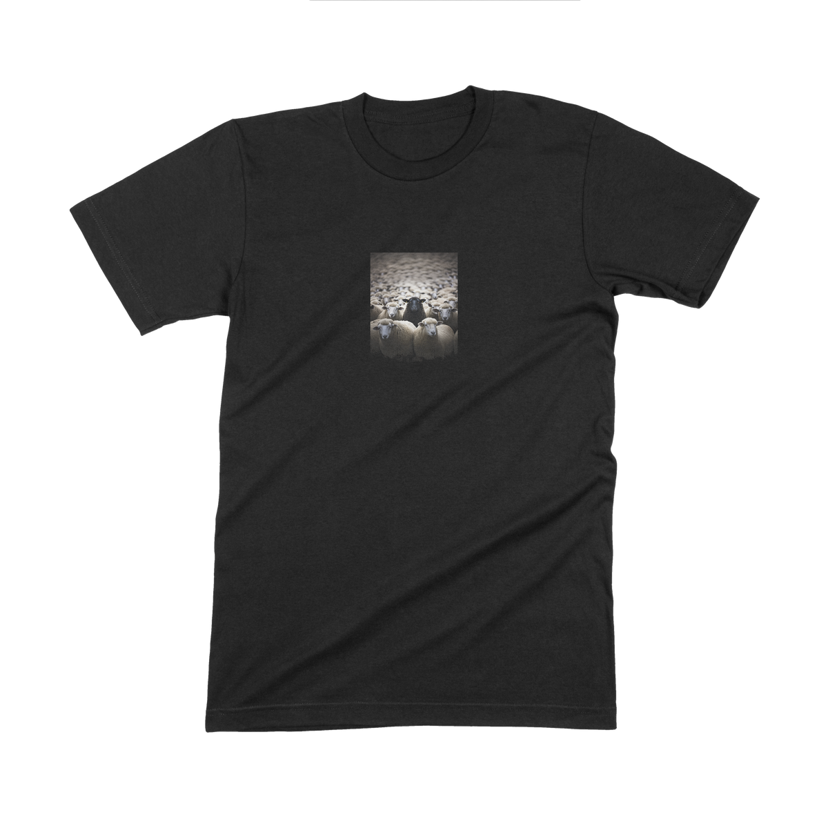 Black Sheep - T Shirt